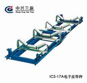 電子皮帶秤（生物質(zhì)發(fā)電工程）